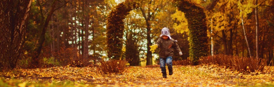 6-oct-banner.jpg 6-oct-banner.jpg