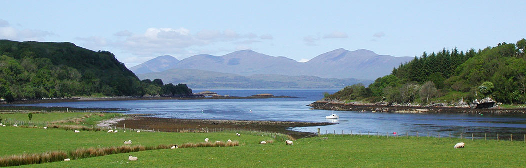 View from Alpein Cottage