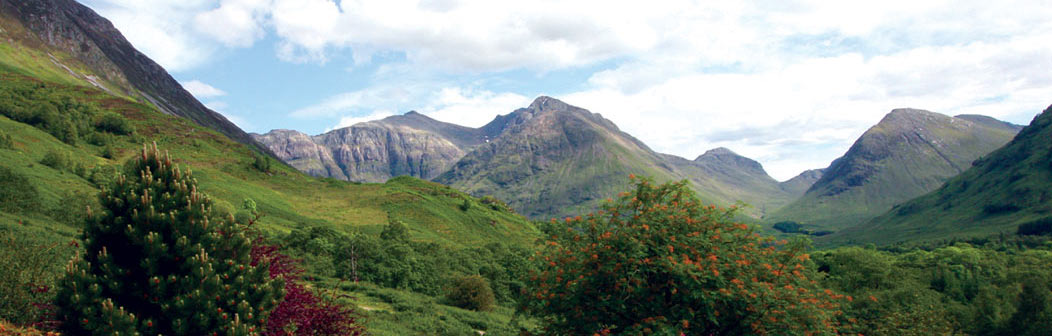 View from grounds