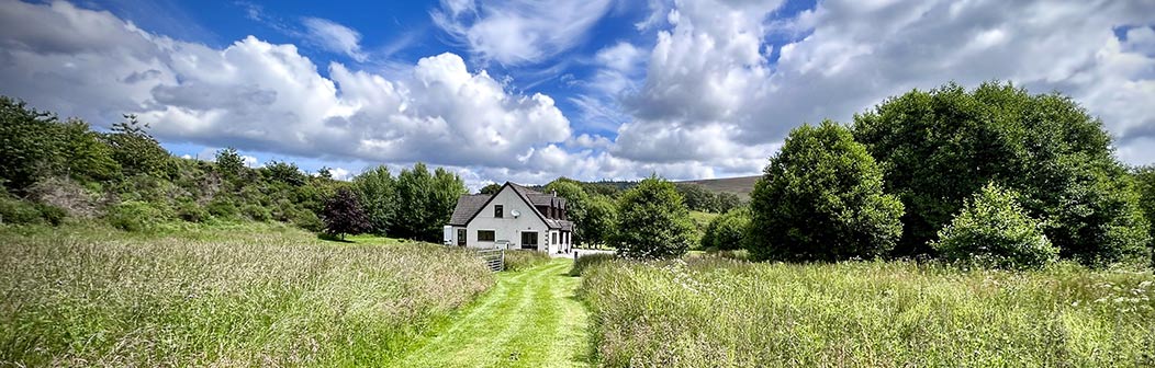 Ballnellan Ballnellan