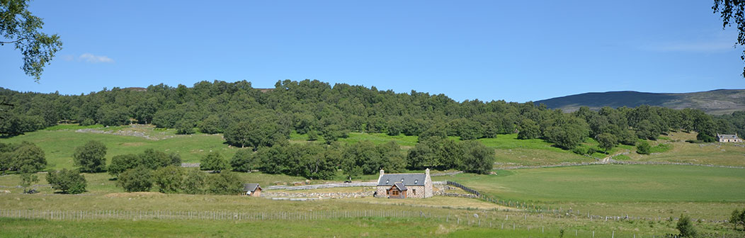 Balnoe Cottage