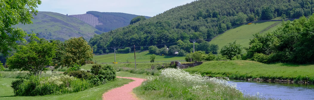 Tweed River Trails