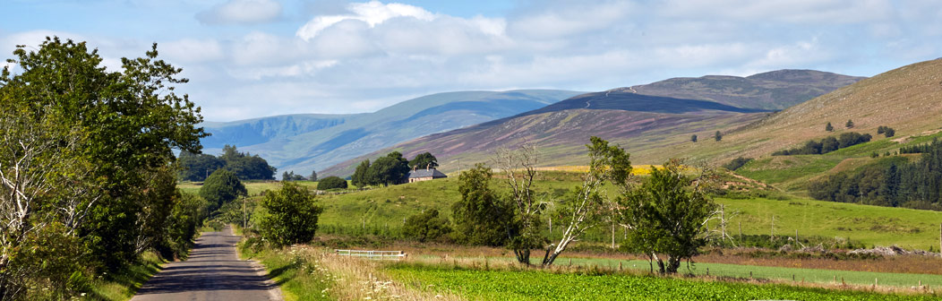 Middlehill Cottage