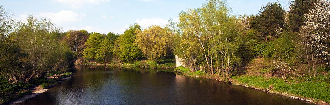 River Teviot