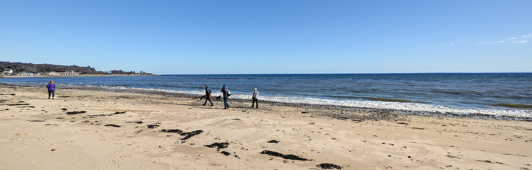 Golspie Beach