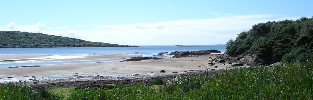 Carse Beach