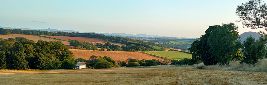 Hollybush Cottage