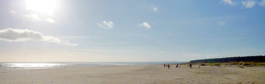 Tentsmuir Beach