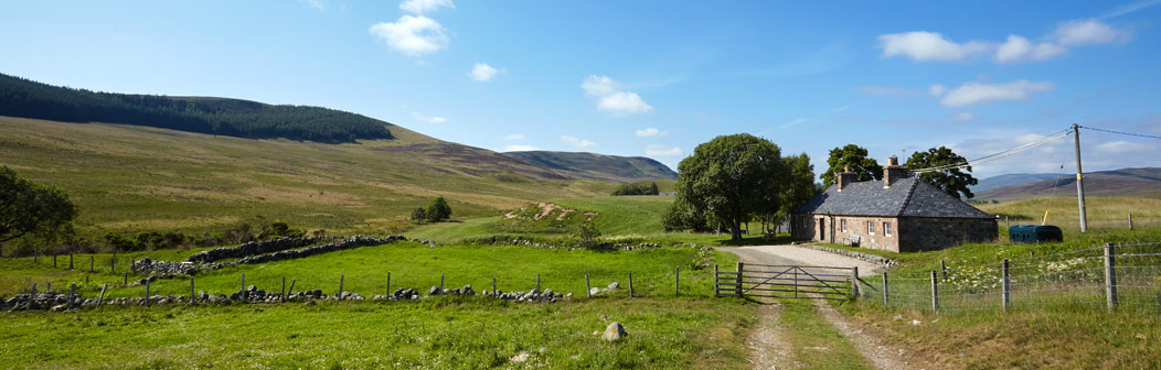 Middlehill Cottage