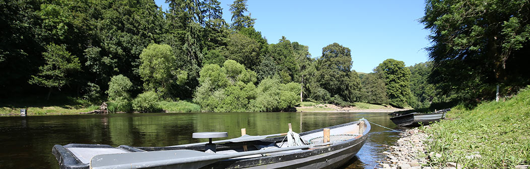 River Tweed at Bemersyde