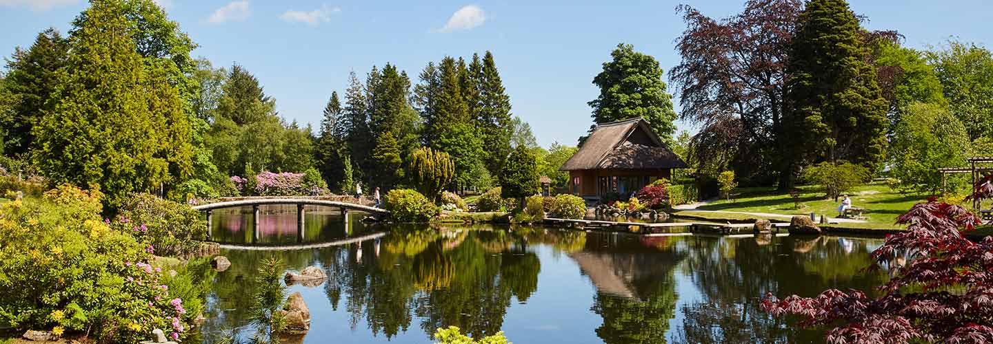 The Japanese Gardens, Dollar