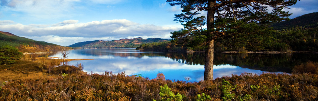 Glen Affric