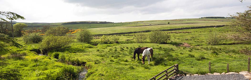 Pyatshaw Burn Cottage