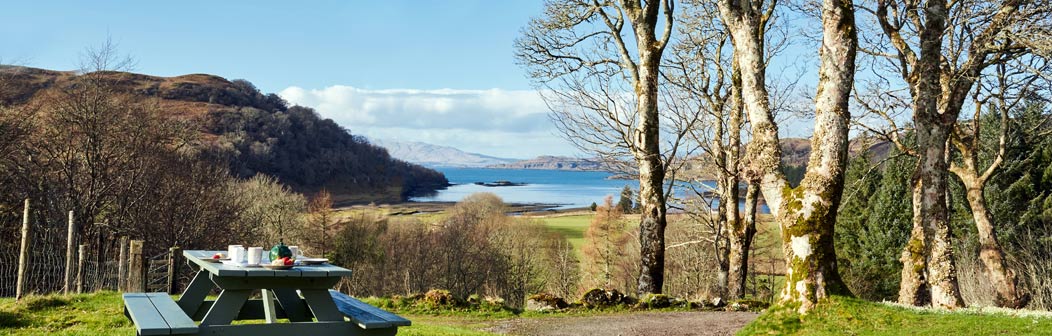 View from The Old Manse