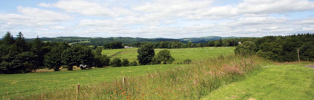 Newlands Barn banner2