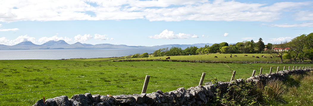 View from Corrarie