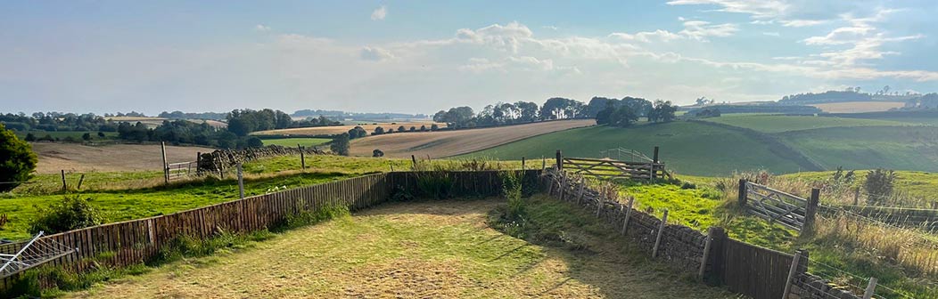 The Barley House The Barley House