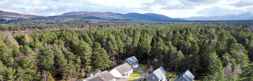 Bear Cottage, Aviemore Bear Cottage, Aviemore