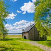 The Birdwatcher's Cabin