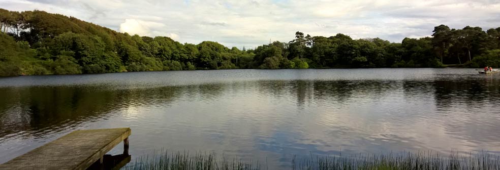 View of the Loch at Blackloch Cottage