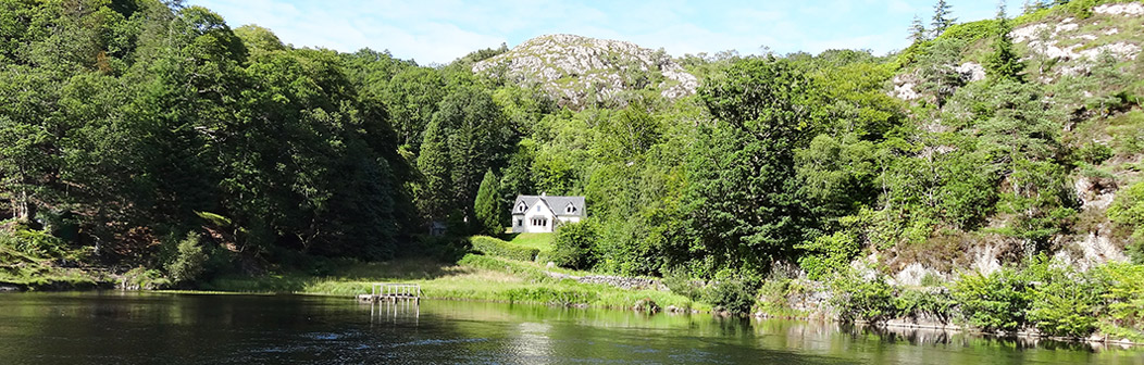 Camus Dorche  Camus Dorche