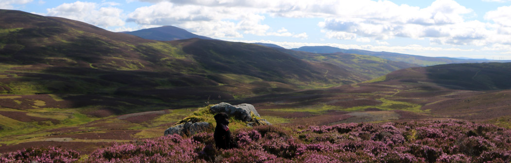 Carn Dearg Bothy