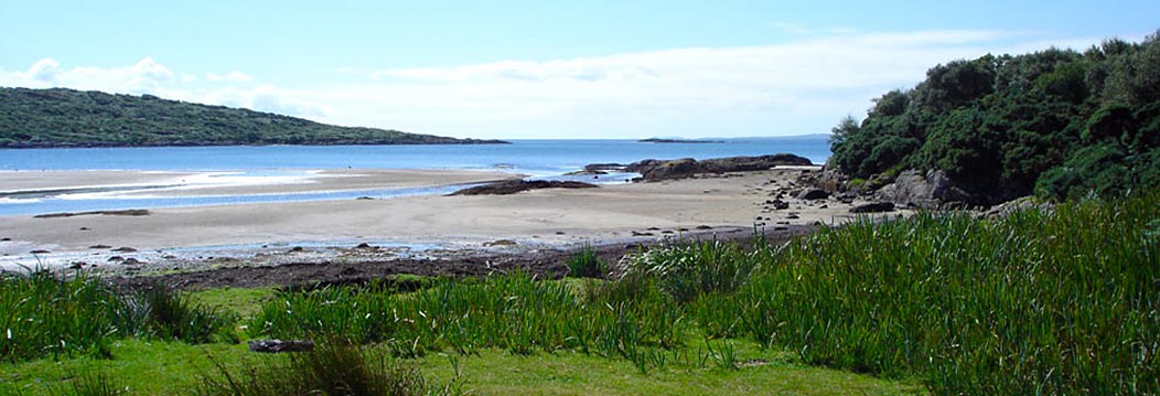 Nearby Carse Beach