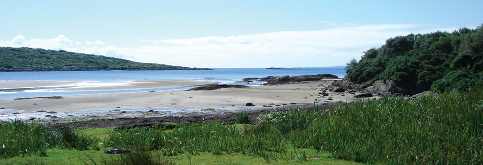 Carse Bay & Beach