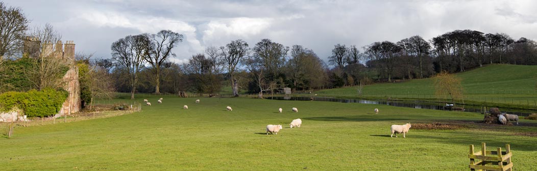 Elliston Estate Elliston Estate