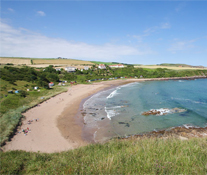 Coldingham Bay