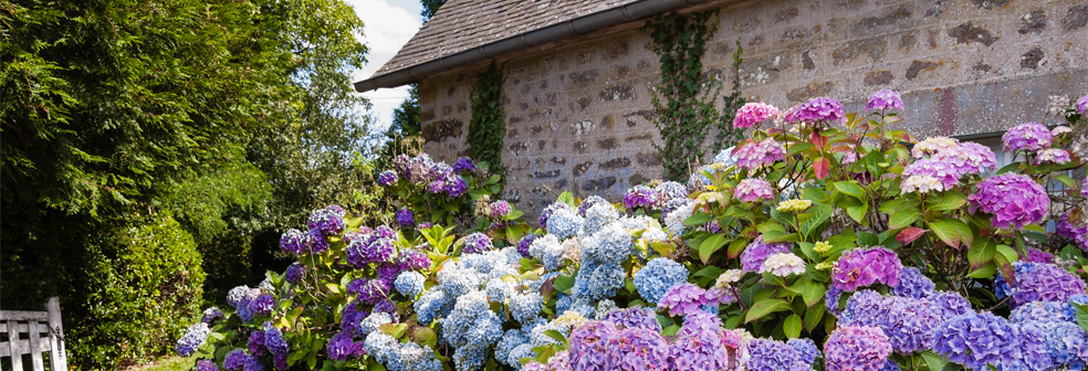 cottage-type.jpg