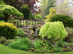 Crarae Gardens Crarae Gardens