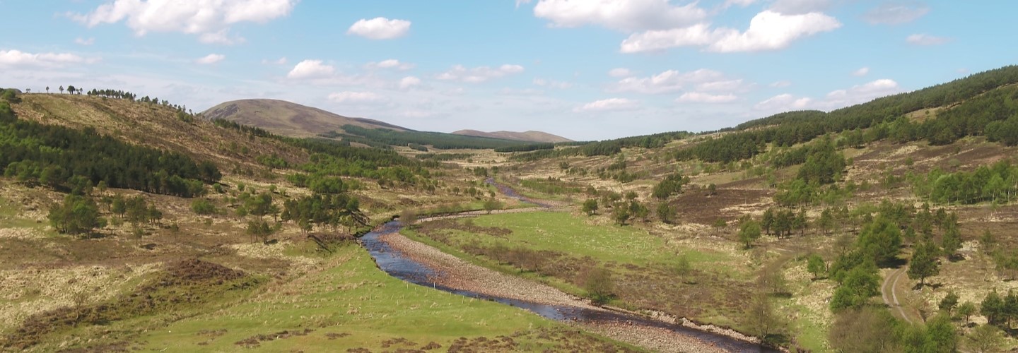 croick top banner.jpg croick top banner.jpg