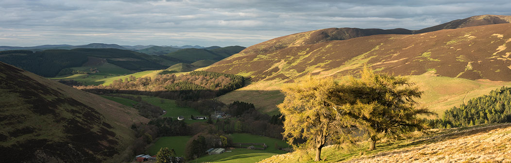 Windgill Cottage