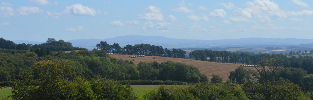 Whitmuir Estate