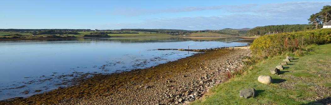 Pebbly shoreline