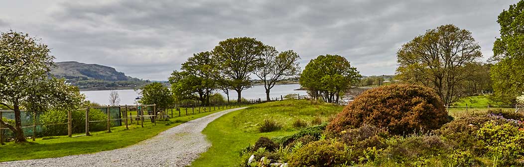 View from Darach Cottage