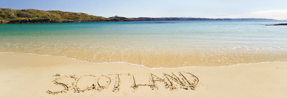 Homepage Banner