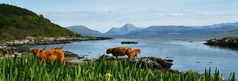 Drimnin Estate