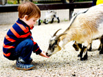 east-links-farm-park.jpg east-links-farm-park.jpg