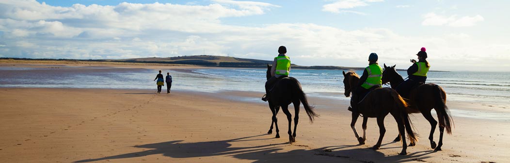 Elie Beach