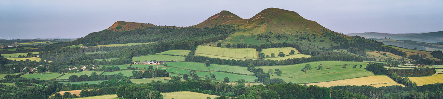 elliston-estate-eildon-hills-banner.jpg