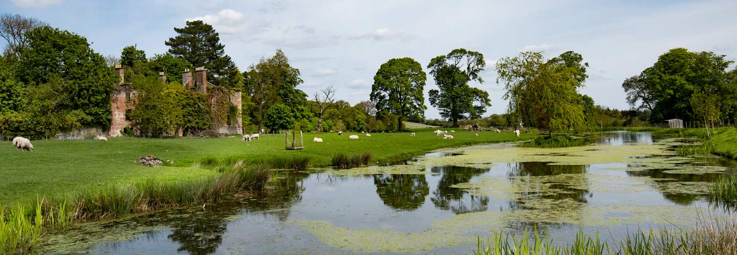 elliston-estate-large-banner.jpg elliston-estate-large-banner.jpg