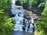 Falls of Clyde