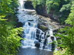 Falls of Clyde Falls of Clyde