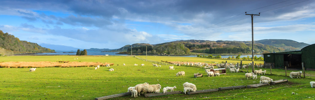 farm-cottages-banner2.jpg farm-cottages-banner2.jpg