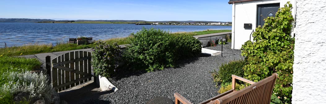 Front garden Front garden