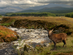 Glen Roy Nature Reserve