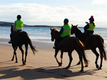 golden-sands-trekking.jpg golden-sands-trekking.jpg