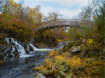 Great Trossachs Forest Nature Reserve